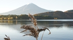 Lake Kawaguchi：河口湖